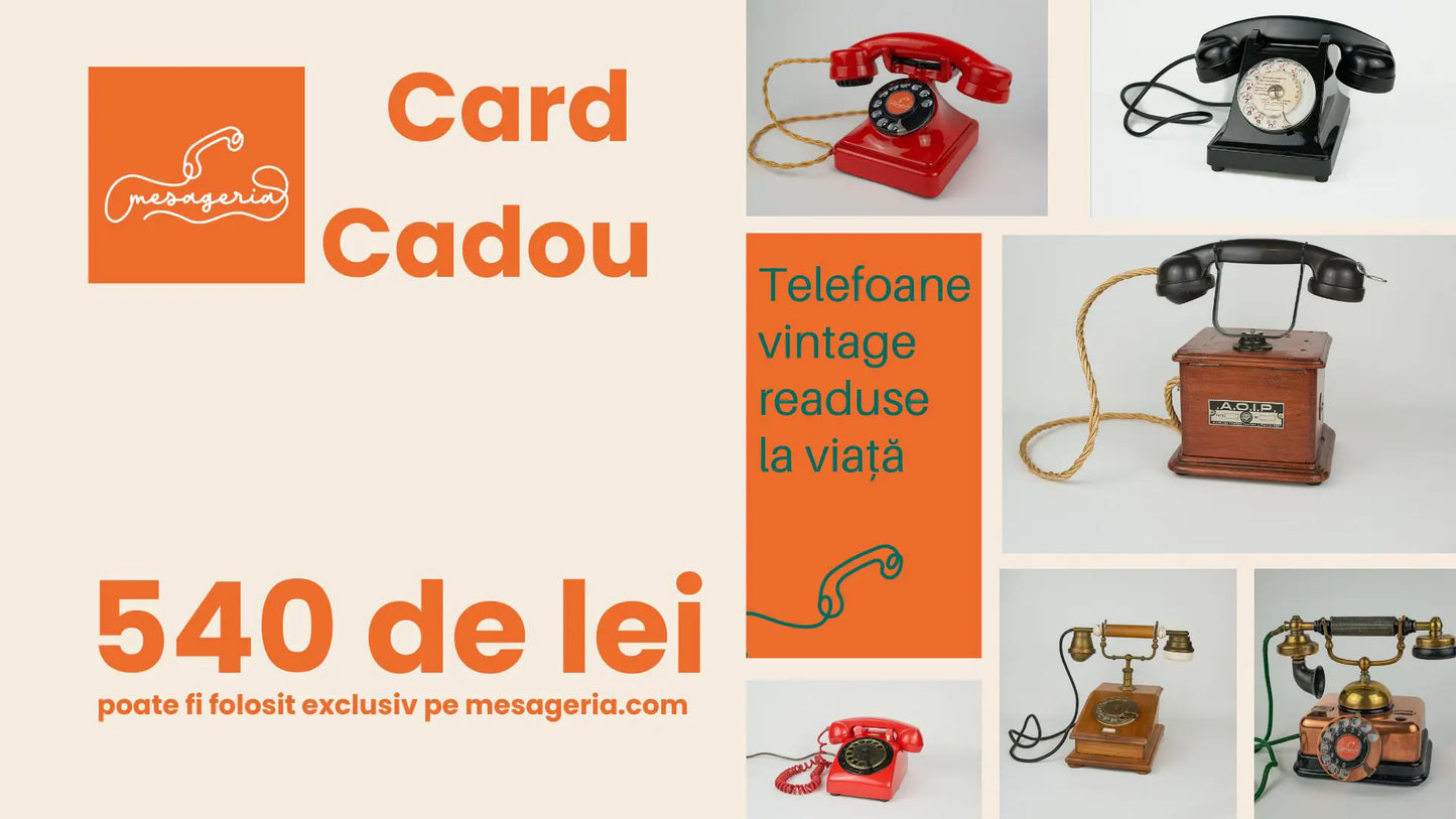 card cadou mesageria 540 lei audio guestbook